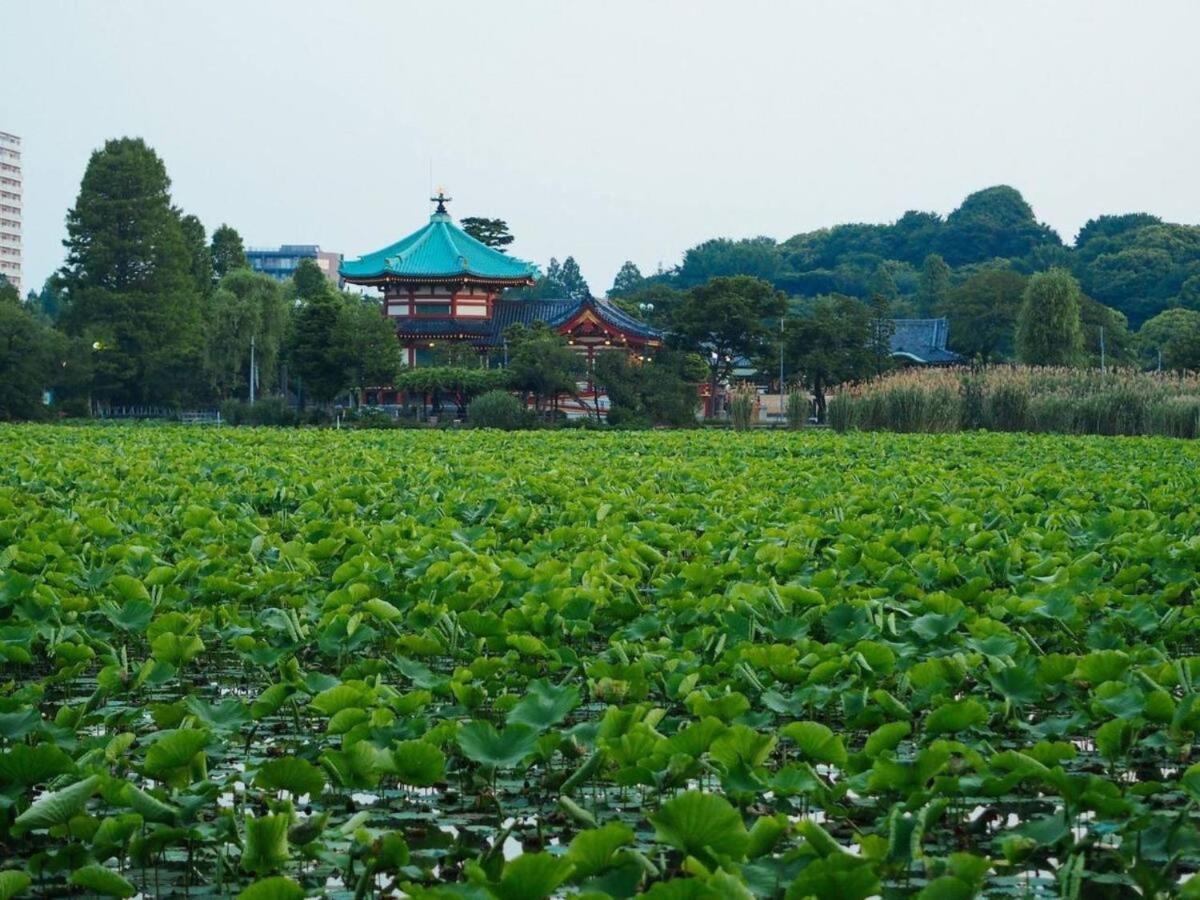 Tora Hotel Taito - Vacation Stay 53048V 東京都 外观 照片